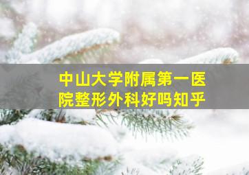 中山大学附属第一医院整形外科好吗知乎