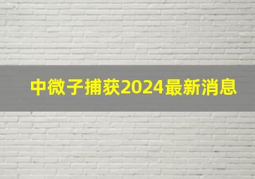 中微子捕获2024最新消息