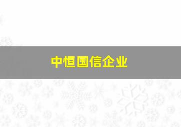 中恒国信企业