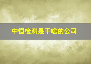 中恒检测是干啥的公司