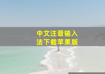 中文注音输入法下载苹果版