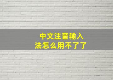 中文注音输入法怎么用不了了