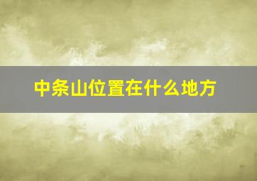 中条山位置在什么地方