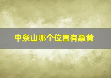 中条山哪个位置有桑黄