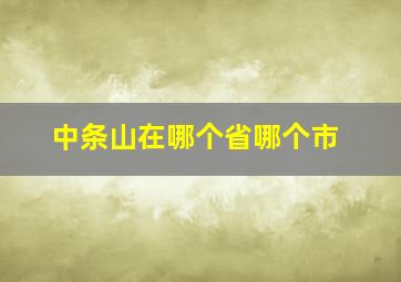 中条山在哪个省哪个市