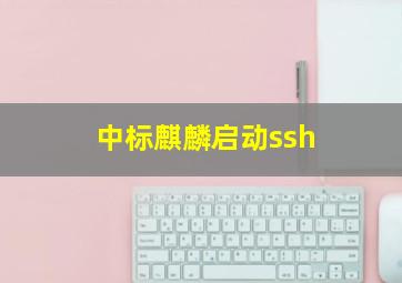 中标麒麟启动ssh