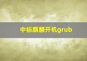 中标麒麟开机grub