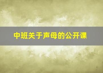 中班关于声母的公开课