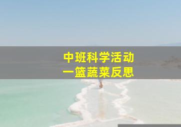 中班科学活动一篮蔬菜反思