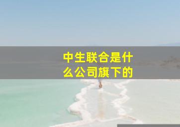 中生联合是什么公司旗下的