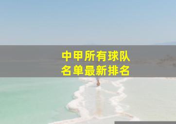 中甲所有球队名单最新排名