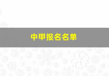 中甲报名名单