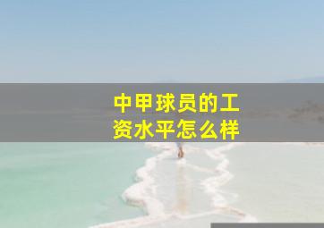 中甲球员的工资水平怎么样