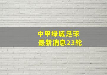 中甲绿城足球最新消息23轮