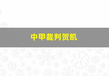 中甲裁判贺凯