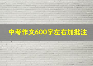 中考作文600字左右加批注