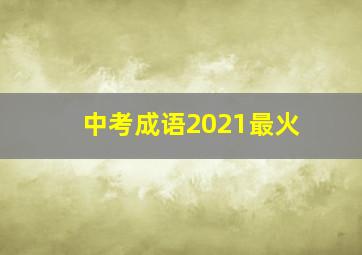 中考成语2021最火