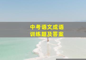 中考语文成语训练题及答案