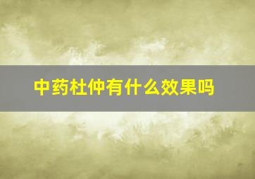 中药杜仲有什么效果吗