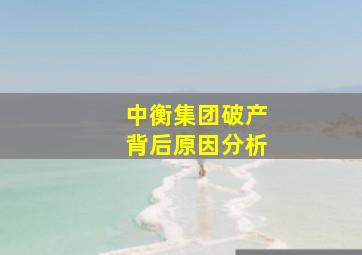 中衡集团破产背后原因分析