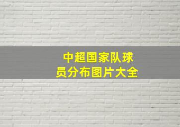 中超国家队球员分布图片大全