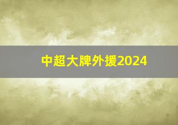 中超大牌外援2024