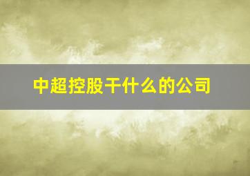 中超控股干什么的公司