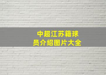 中超江苏籍球员介绍图片大全