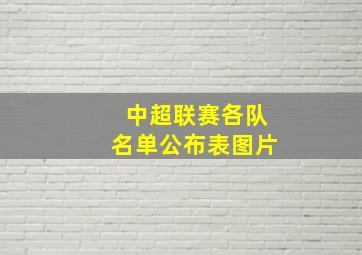 中超联赛各队名单公布表图片