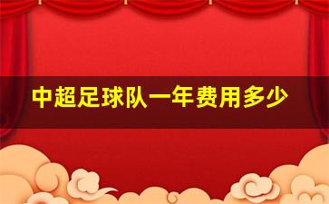 中超足球队一年费用多少