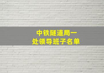 中铁隧道局一处领导班子名单