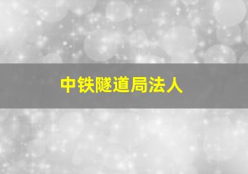 中铁隧道局法人