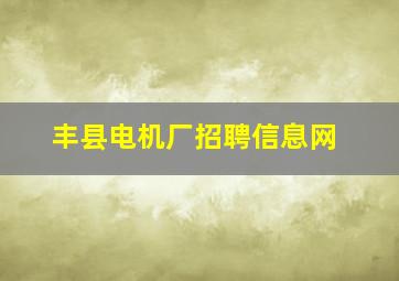 丰县电机厂招聘信息网