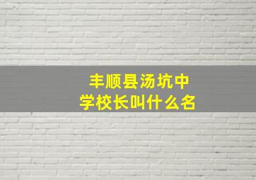 丰顺县汤坑中学校长叫什么名