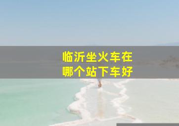 临沂坐火车在哪个站下车好