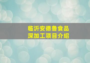 临沂安德鲁食品深加工项目介绍