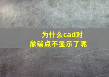 为什么cad对象端点不显示了呢