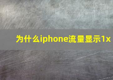 为什么iphone流量显示1x