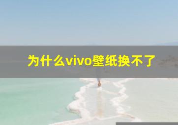 为什么vivo壁纸换不了