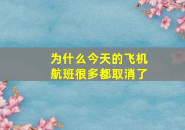 为什么今天的飞机航班很多都取消了