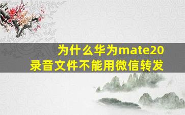 为什么华为mate20录音文件不能用微信转发