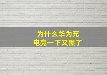 为什么华为充电亮一下又黑了