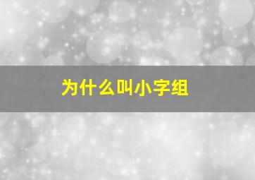 为什么叫小字组