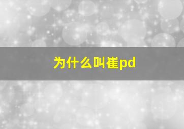 为什么叫崔pd