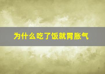 为什么吃了饭就胃胀气