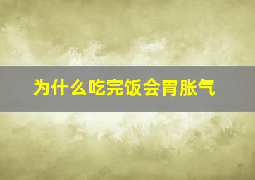 为什么吃完饭会胃胀气