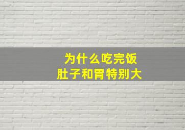 为什么吃完饭肚子和胃特别大