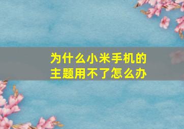 为什么小米手机的主题用不了怎么办