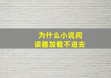 为什么小说阅读器加载不进去