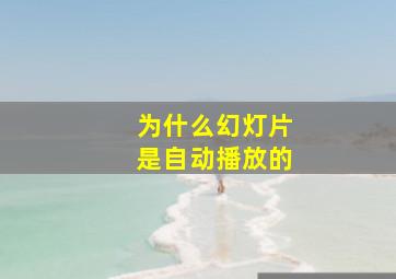 为什么幻灯片是自动播放的